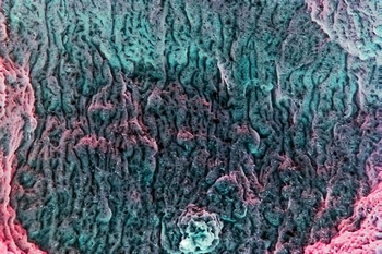 A 39B